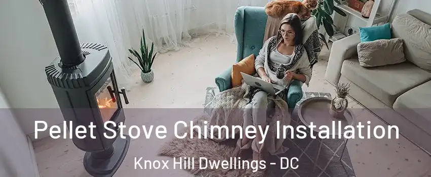 Pellet Stove Chimney Installation Knox Hill Dwellings - DC