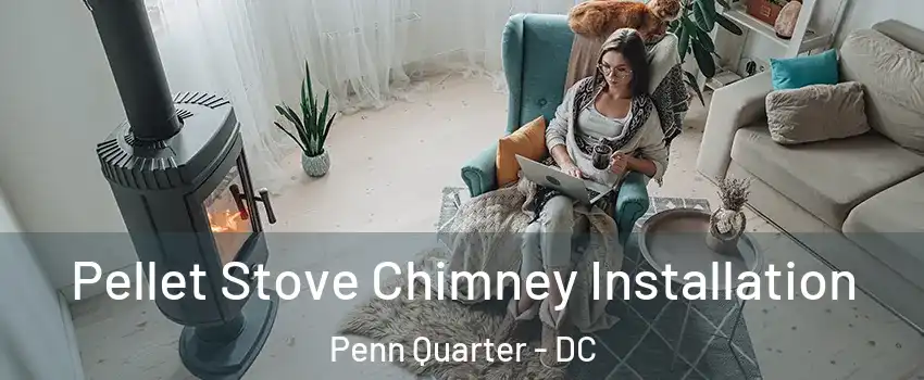 Pellet Stove Chimney Installation Penn Quarter - DC