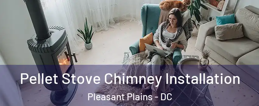 Pellet Stove Chimney Installation Pleasant Plains - DC