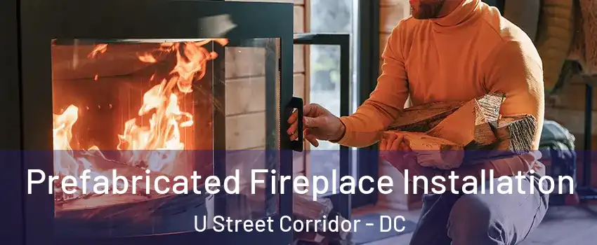 Prefabricated Fireplace Installation U Street Corridor - DC