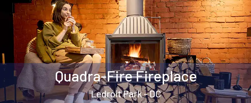 Quadra-Fire Fireplace Ledroit Park - DC