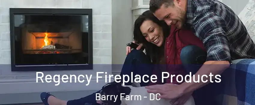 Regency Fireplace Products Barry Farm - DC