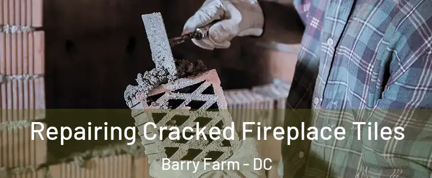 Repairing Cracked Fireplace Tiles Barry Farm - DC