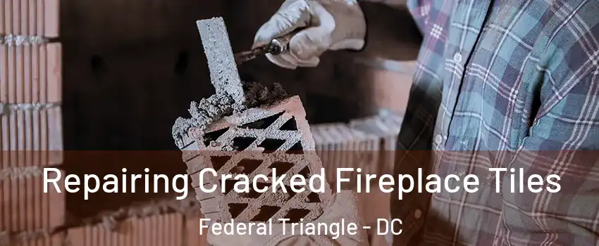 Repairing Cracked Fireplace Tiles Federal Triangle - DC