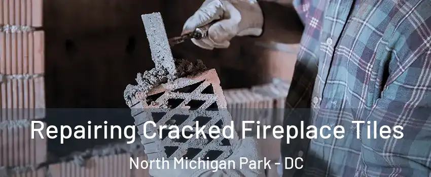 Repairing Cracked Fireplace Tiles North Michigan Park - DC