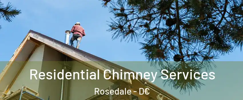 Residential Chimney Services Rosedale - DC