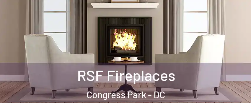 RSF Fireplaces Congress Park - DC
