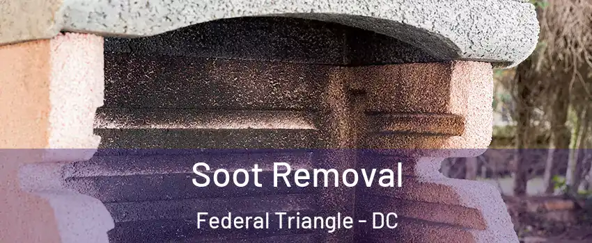 Soot Removal Federal Triangle - DC