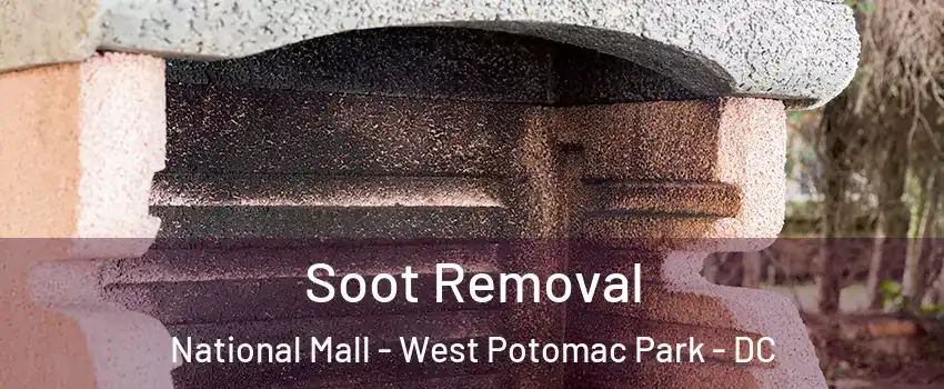 Soot Removal National Mall - West Potomac Park - DC