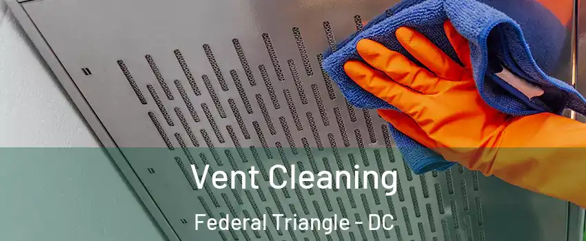 Vent Cleaning Federal Triangle - DC