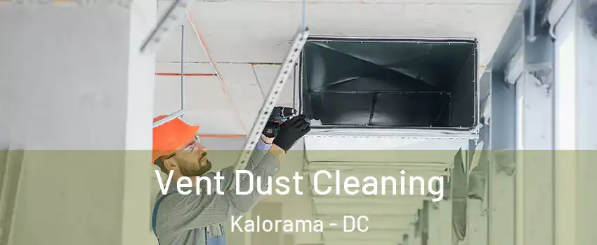 Vent Dust Cleaning Kalorama - DC