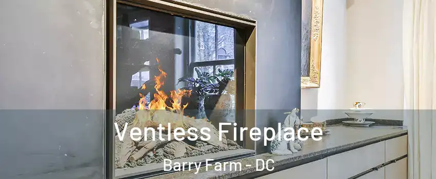 Ventless Fireplace Barry Farm - DC