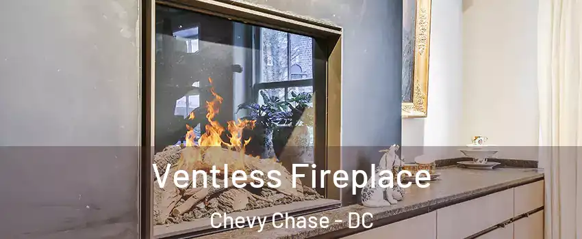Ventless Fireplace Chevy Chase - DC