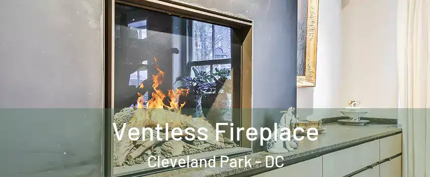 Ventless Fireplace Cleveland Park - DC