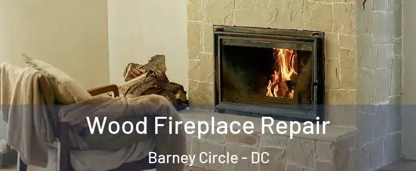 Wood Fireplace Repair Barney Circle - DC