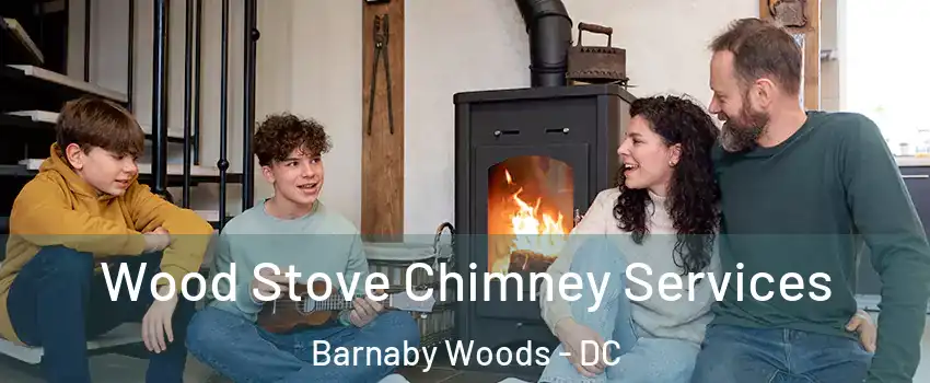 Wood Stove Chimney Services Barnaby Woods - DC