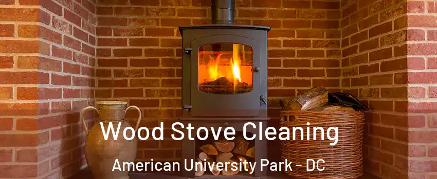 Wood Stove Cleaning American University Park - DC