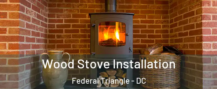 Wood Stove Installation Federal Triangle - DC